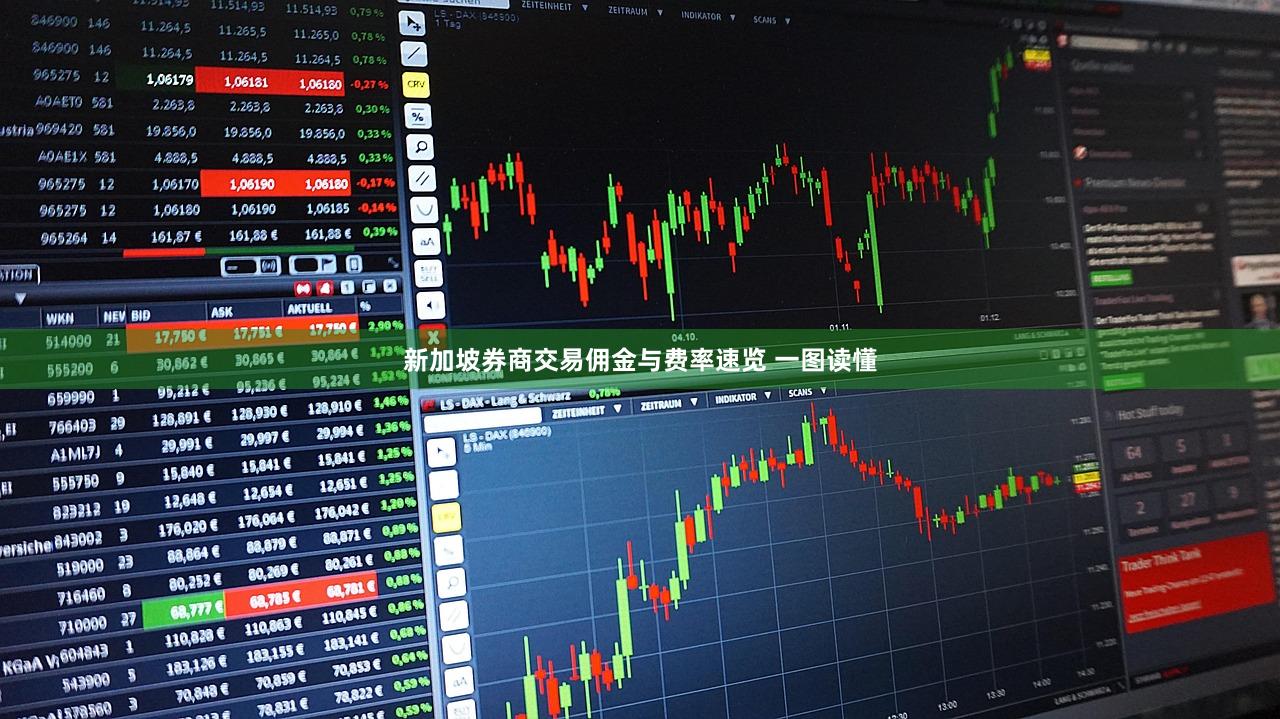 新加坡券商交易佣金与费率速览 一图读懂