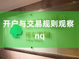 开户与交易规则观察 nq