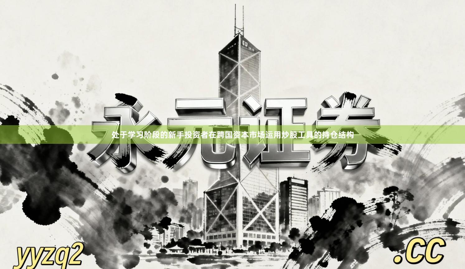 处于学习阶段的新手投资者在跨国资本市场运用炒股工具的持仓结构